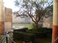 Ruins of the House of the Orchard.