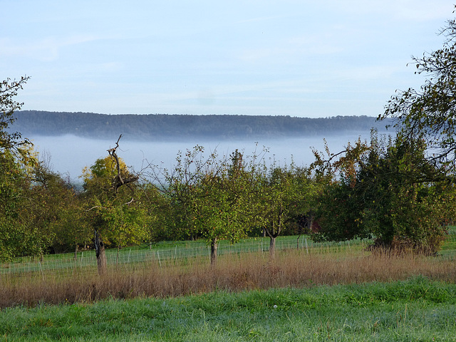 Nebel im Ammertal