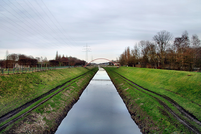 Emscher im Nordsternpark (Gelsenkirchen-Horst) / 2.03.2024