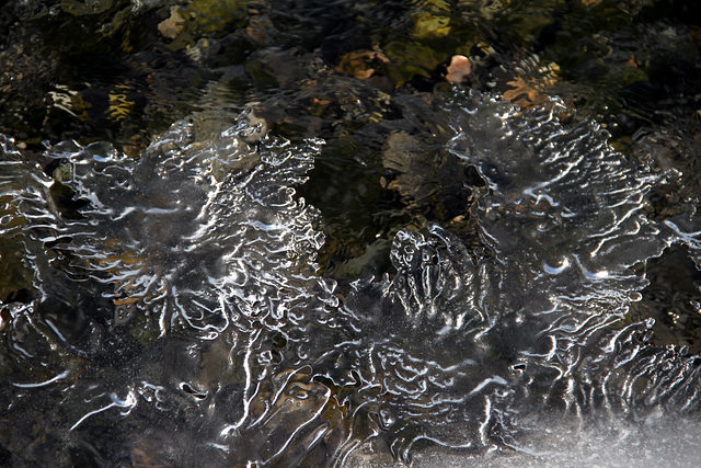 dentelle de glace