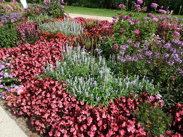 Sich ergänzende Vielfalt im Blumenbeet