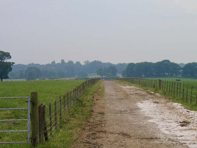 Looking to The Oaks from Highlands Park