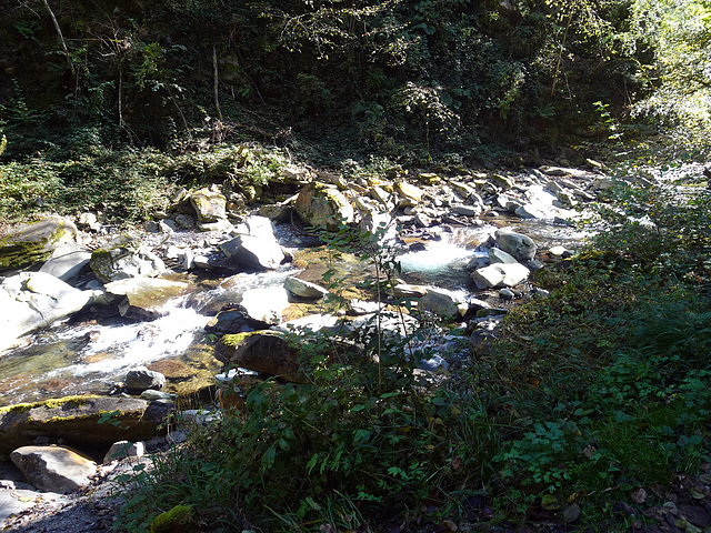 Herbstwanderung am Fluss La Vièze