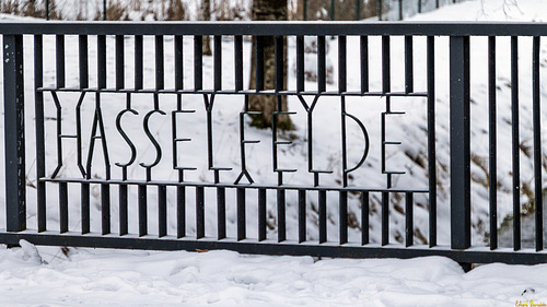 HFF aus Hasselfelde