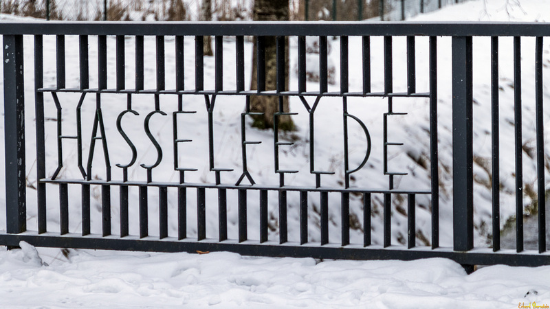 HFF aus Hasselfelde