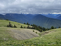 Hurricane Ridge
