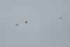 DSCF3460 avions