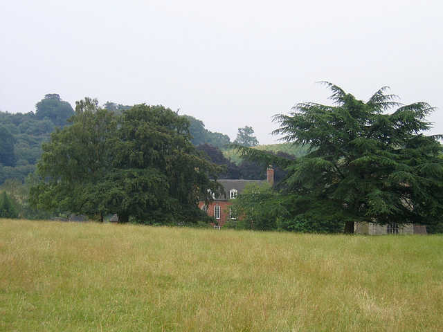 Two magnificent trees obscure the Church of St. Michael and All Angels at Tatenhill