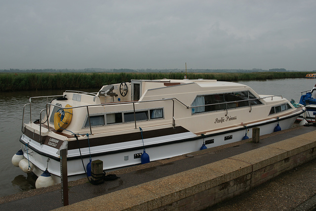 Pacific Princess At Reedham