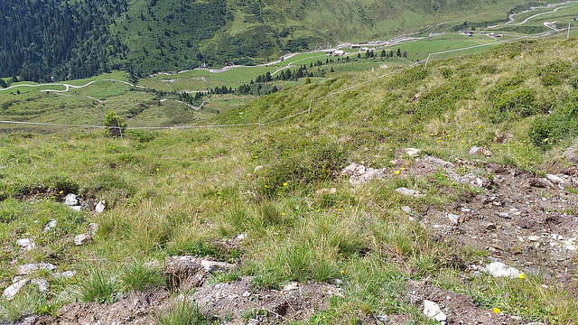 Geiseljoch (42)