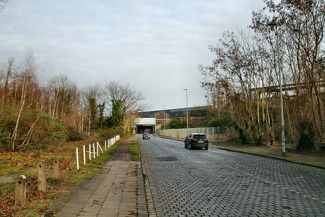 Mühlenfelder Straße (Duisburg-Laar) / 8.02.2020