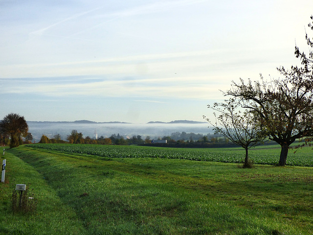 Blick in Richtung Altingen