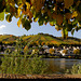 Blick über die Mosel in die Weinberge