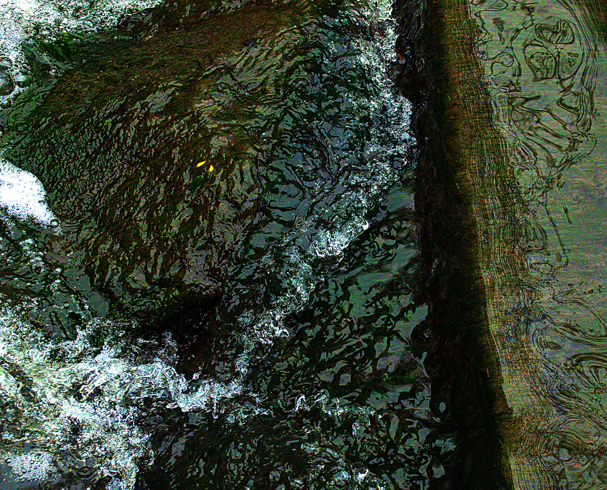 Ripples