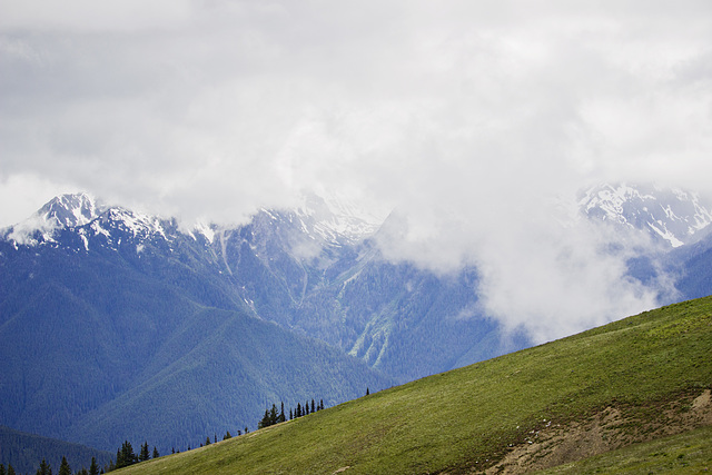 Hurricane Ridge