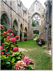 The abbey bench - HBM