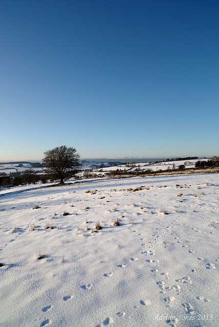 Stiperstones Snow