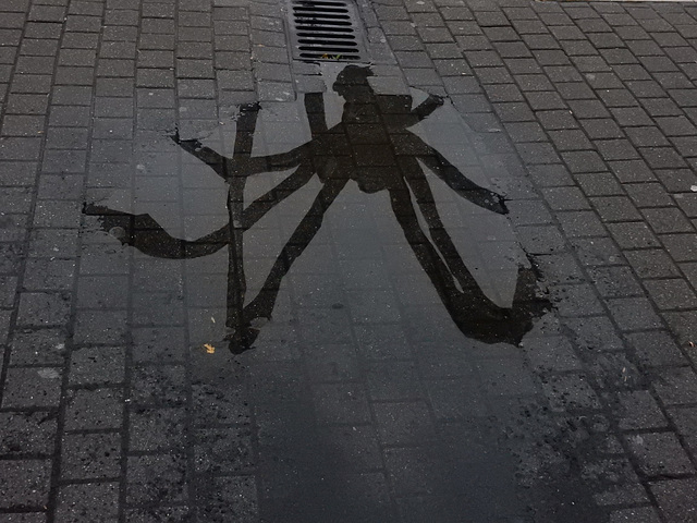 sculpture, in a puddle