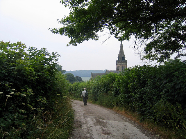 Hedgerows on the track leading southward to the Church of St. Mary at Dunstall