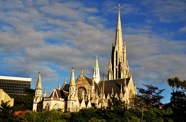 New Zealand / Dunedin