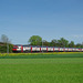 BÖ0013939