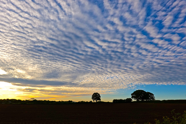 Evening mackerel sky