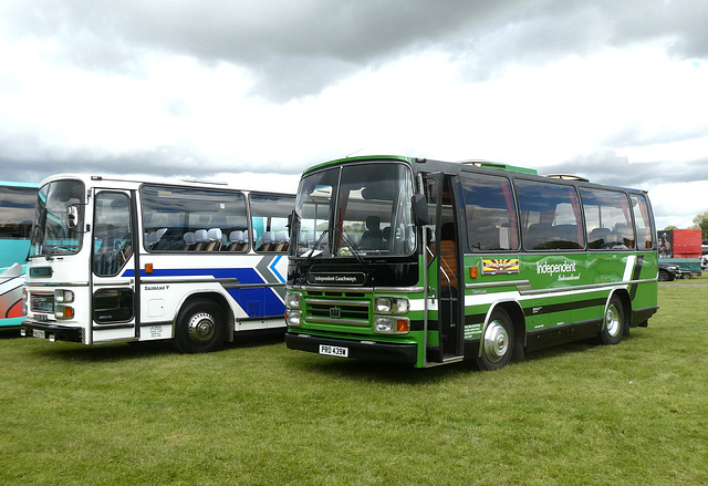 Stonham Barns 'The Big Bus Show' - 13 Aug 2023 (P1160001)