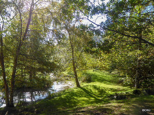 Sunny Autumn Monday - colours by the pond