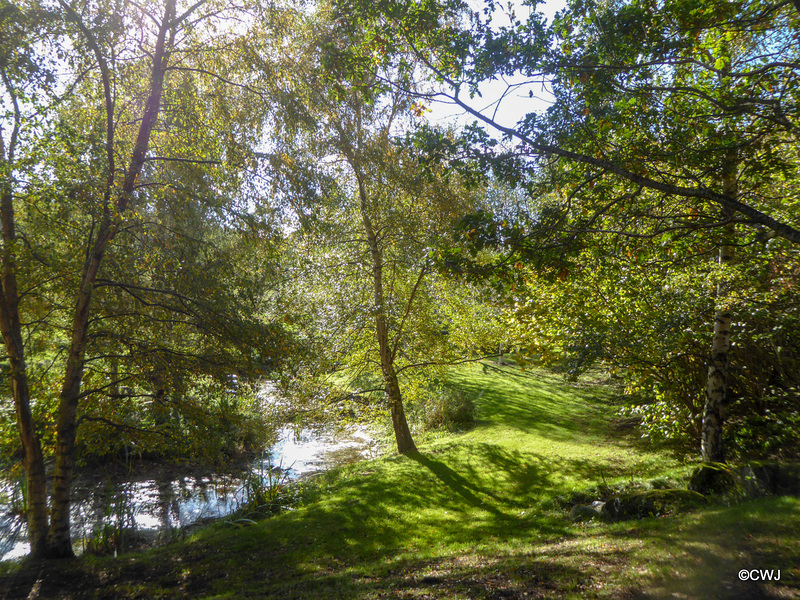 Sunny Autumn Monday - colours by the pond