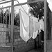 Laundry, Remedios, Cuba