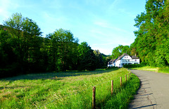 DE - Hürtgenwald - On the Kalltal trail