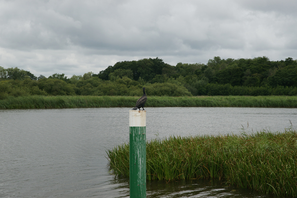 Rockland Broad