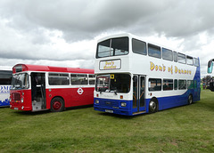 Stonham Barns 'The Big Bus Show' - 13 Aug 2023 (P1160003)