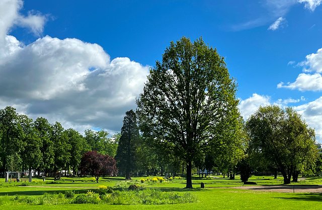 Frühling im Dahliengarten