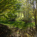 Sunny Autumn Monday - colours by the pond