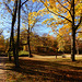 Herbst in Dresdens Großem Garten 08