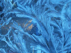 More intricate ice patterns on the glass (2)