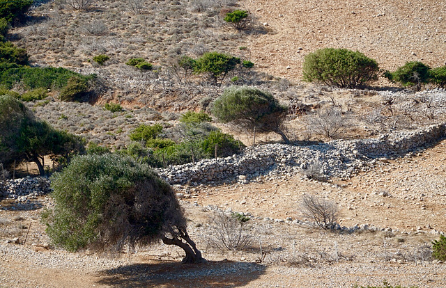 Windiges Amorgos