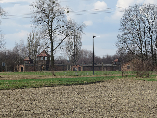 Birkenau, 1.