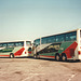 Applebys L542 JJV and M135 NBE at Grantham Service Area – 9 Oct 1995 (289-20)