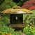 Japanese Gardens Around the World
