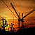 Cranescapes: Construction cranes, mobile cranes, container cranes, ...