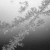 eisblumen - frost patterns - fleur de givre