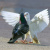 Pigeons - Περιστέρια - Κοlomboj